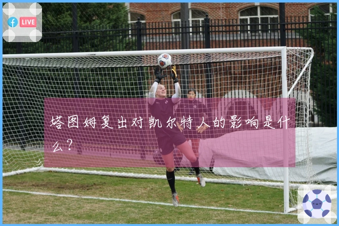 塔图姆复出对凯尔特人的影响是什么？